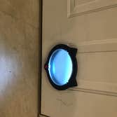 Cat Door