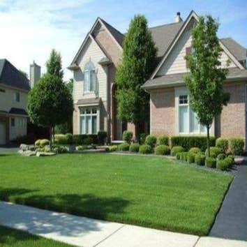 Photos from Safari Lawn Care LLC