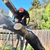 Photos by Camilo Tree Service #4