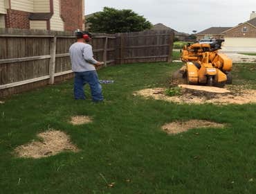 Photos from South Texas Tree of Life Tree S.Tx Tree of Life Tree Service