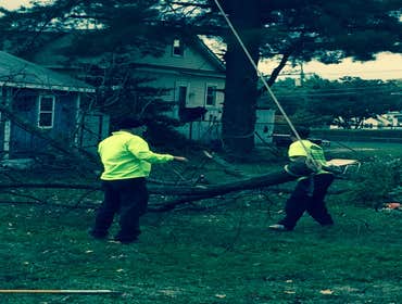 Tree Service South Jersey