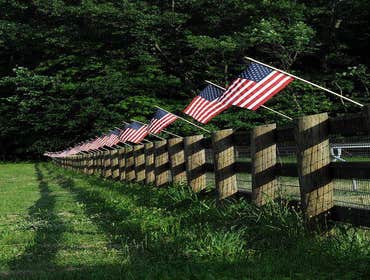 Fences