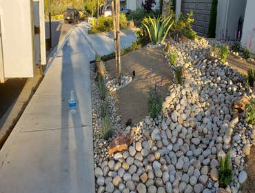 Xeriscape & Dry Creek Xeriscape & Dry Creek