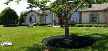 Photos by Amigos Lawn Care & Tree Service #1