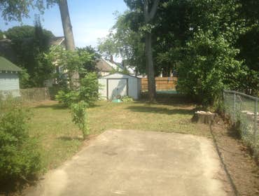 Backyard clean up