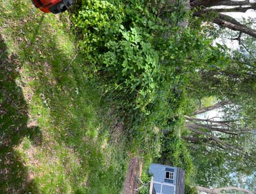 Landscaping A Client wanted her backyard cleared from Weeds & Bushes