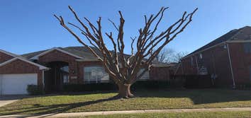 Corinth Tree Service