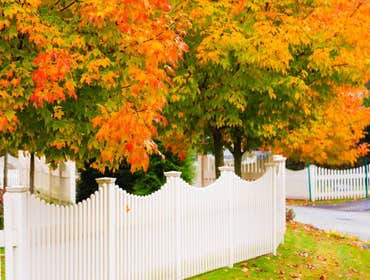 Fences