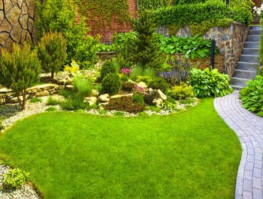 Photos by Evergreen Landscape #1