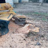 Photos by Del Tree Services #1