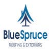 Blue Spruce Roofing & Exteriors logo