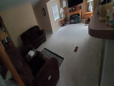 Photos by D&A Flooring Painting LLC #65