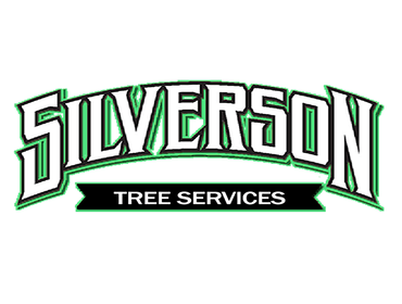 Photos by Silverson Tree Services #1