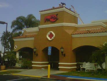 Red Lobster