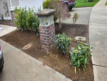 Photos by Mv Top Landscaper LLC #1