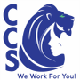 Custom Construction Services, LLC logo