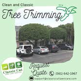 Classic Cut Lawn Care Services