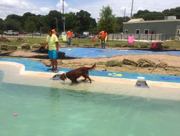 Photos by Lakeshoeres Pools #1