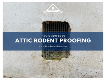 Rodent Proofing and Removal | Los Angeles | Van Nuys | Insulation Labs