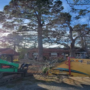 Tree M Removal LLC
