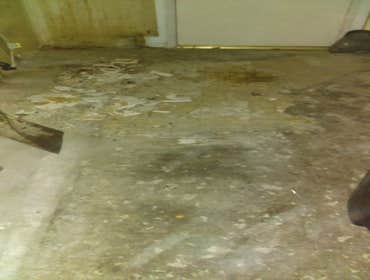 Beverly Hills Old Kichen Floor