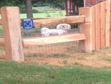 Fences