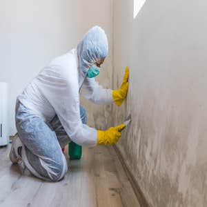 Photos by Mold Removal Miami Pros #1