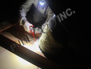 Air Sealing | Encino, CA