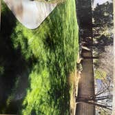 Photos by Garcia Gardening #2