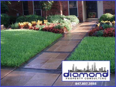 Photos from Diamond Property Consulting, Inc. Garage Demolition, New Concrete Pad, Install Automatic Remote Controlled Gate.