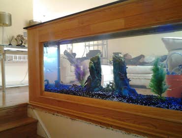 Photos by Dbmservices LLC #2