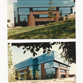 Office Designs