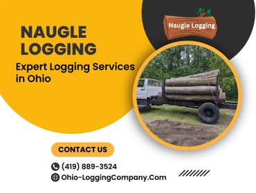 Photos by Naugle Logging #1