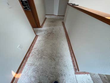 Photos by Gus's Premium Carpets Inc #1