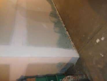 Mold damage from a flood.