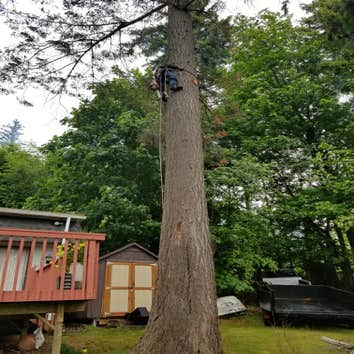 Photos by Trinity Tree Care #1 Dead fir removal