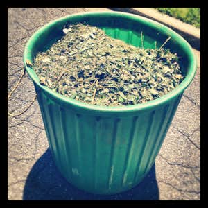 Alfa Castle Landscaping Photos