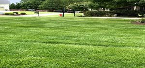 Photos by Turf Works #1