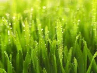 Machado's Landscape Construction We offer a variety of services from planning and design to installation and maintenance which are oriented to the nee