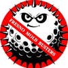 Fresno Pure Maintenance logo