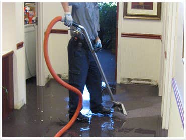 water-flood restoration serv.