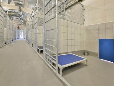 Animal Defense League Kennel Project