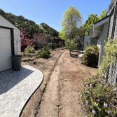Photos by L&p Hauling Clean Up & Landscape Service #3