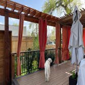 Colorado Elite Deck and Fence LLC