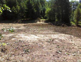 Demo,, tree removal ,,earth work Daleville park and ride ... a Tobyhanna Army Depot project