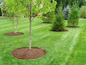 Photos from Pacific Coast Landscape & Design Inc