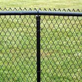 Chain Link