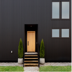 contemporary black house- Ferndale, MI