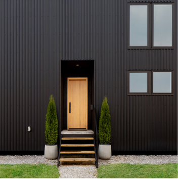contemporary black house- Ferndale, MI