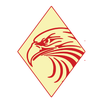 Eagle Eye Resources, LLC logo